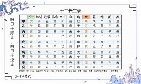 12 長生|八字之十二長生表詳解